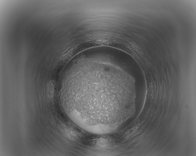 X0000058780412200510071614