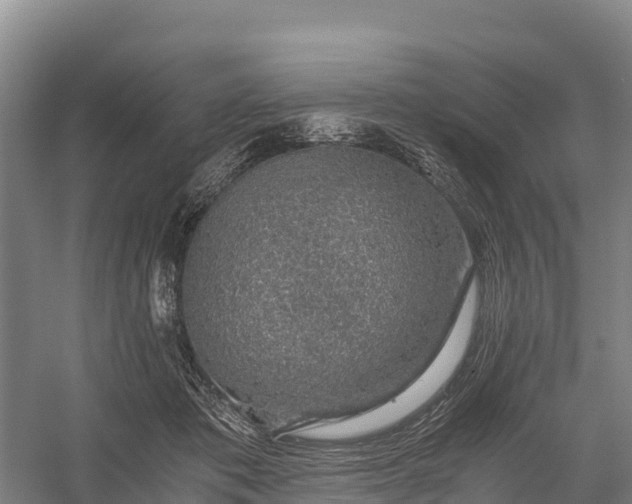 X0000058780413200510071614