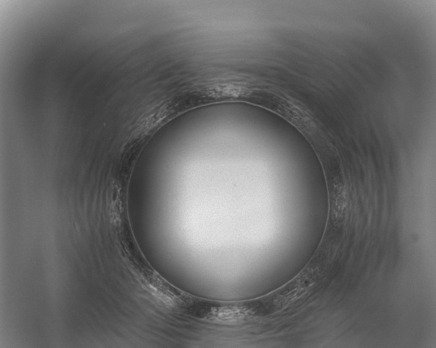 X0000058780414200510071614