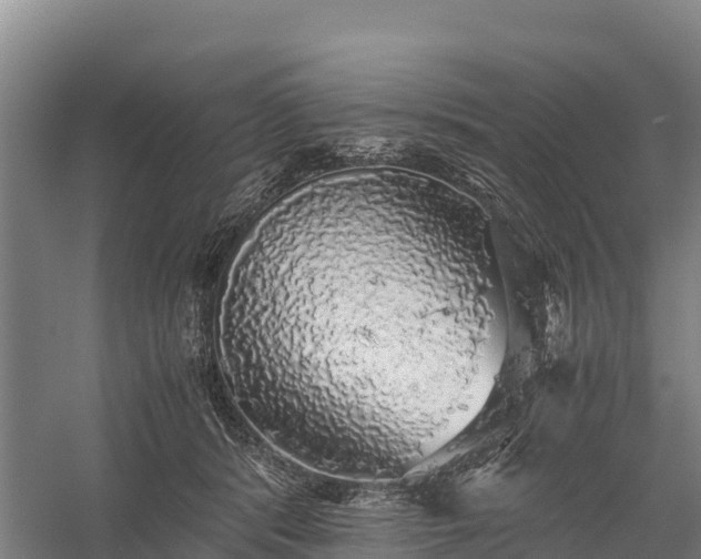 X0000058780416200510071614