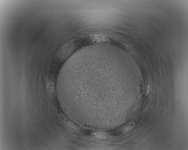 X0000058780417200510071614