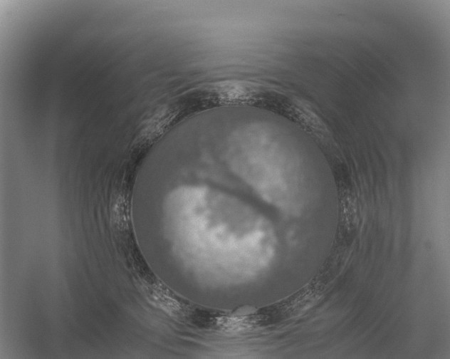 X0000058780419200510071614