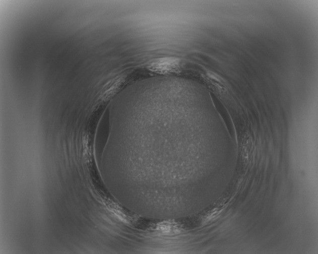 X0000058780420200510071614