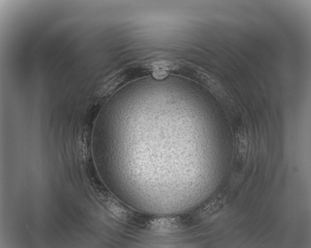 X0000058780422200510071614