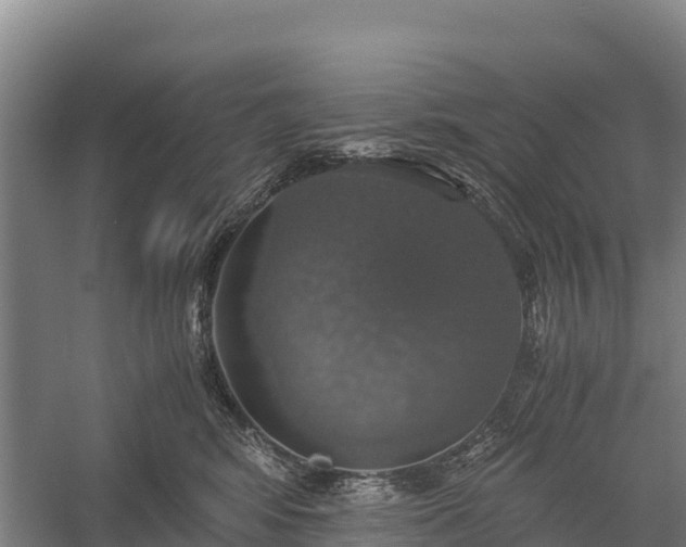 X0000058780424200510071614