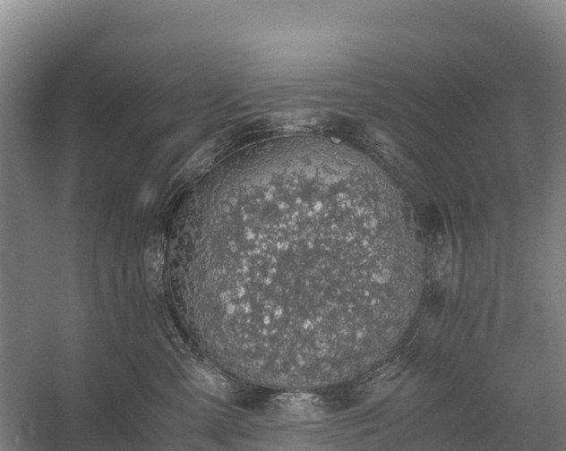 X0000058780427200510071614