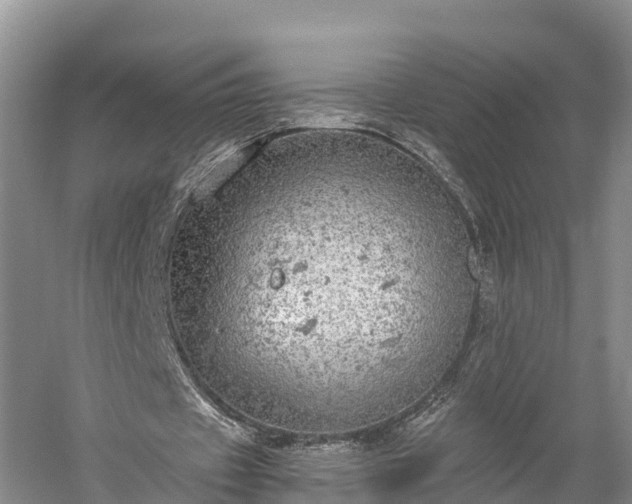 X0000058780433200510071613