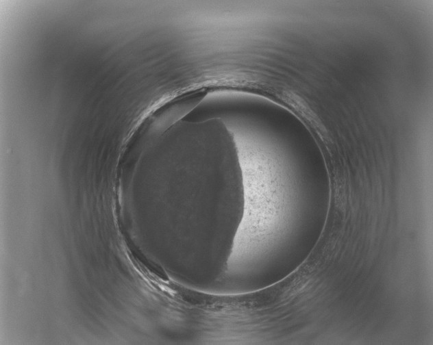 X0000058780434200510071613