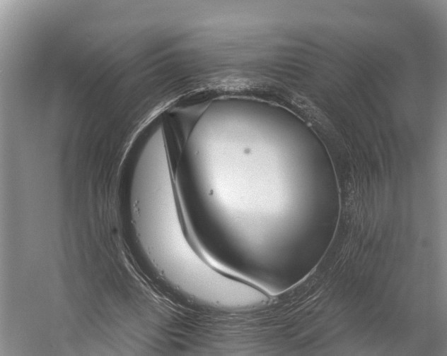 X0000058780440200510071613