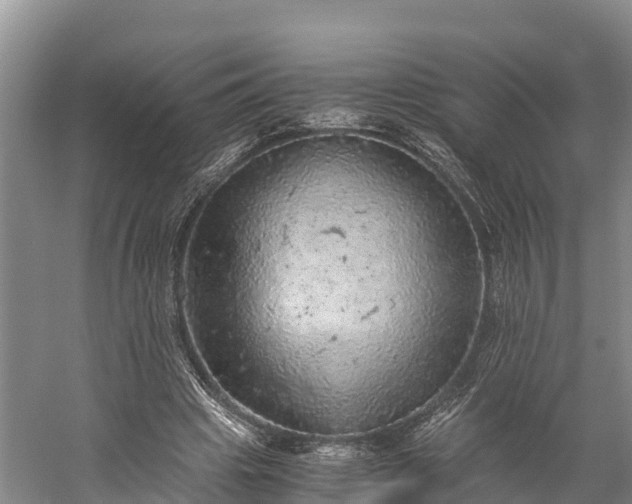 X0000058780441200510071613