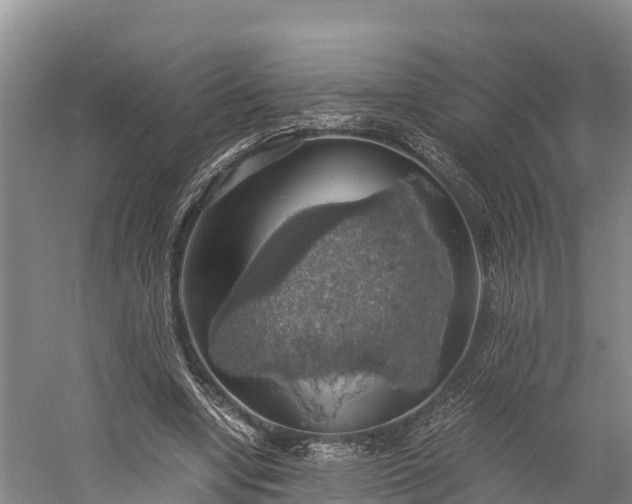 X0000058780442200510071613