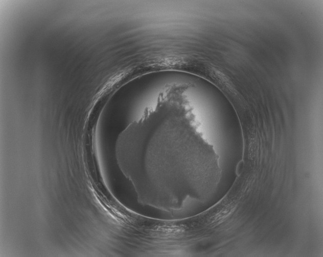 X0000058780443200510071613