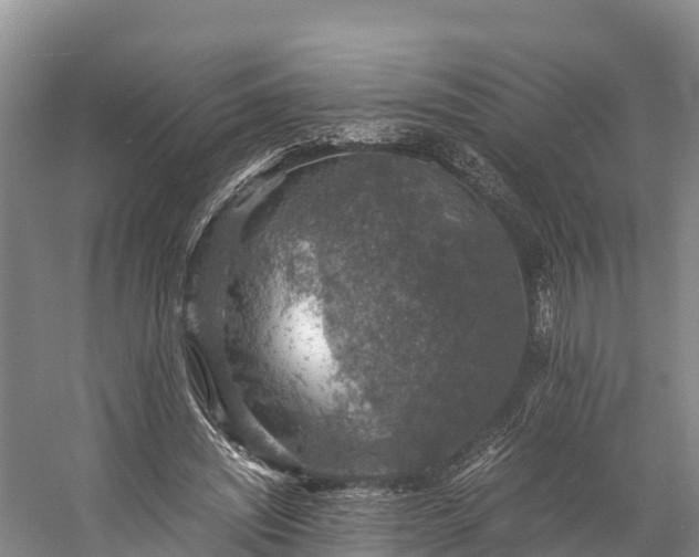 X0000058780444200510071613