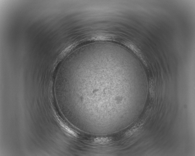 X0000058780445200510071613