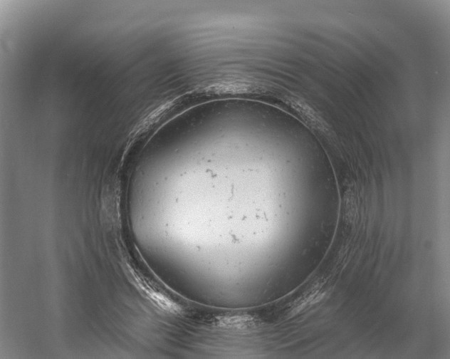 X0000058780446200510071613