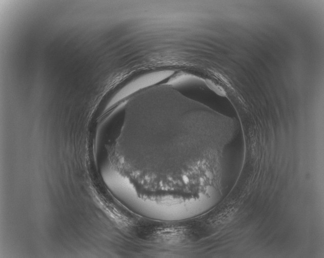 X0000058780447200510071613