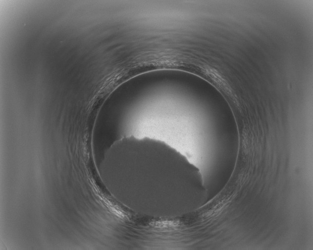 X0000058780449200510071613