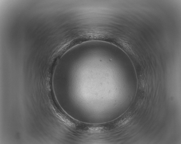 X0000058780450200510071613