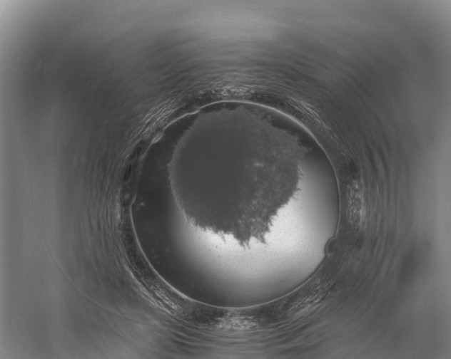 X0000058780451200510071613