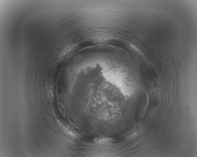 X0000058780452200510071613