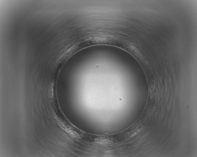 X0000058780454200510071613