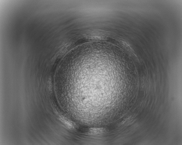 X0000058780457200510071613