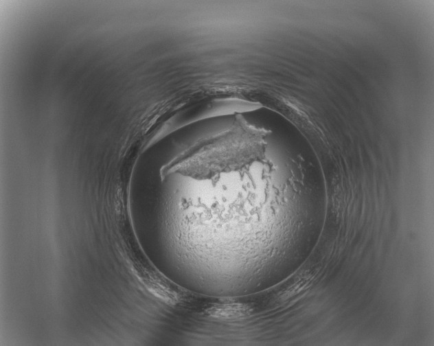 X0000058780459200510071613