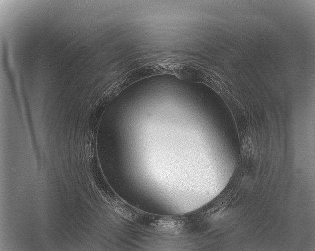 X0000058780464200510071613