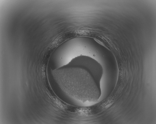 X0000058780466200510071613