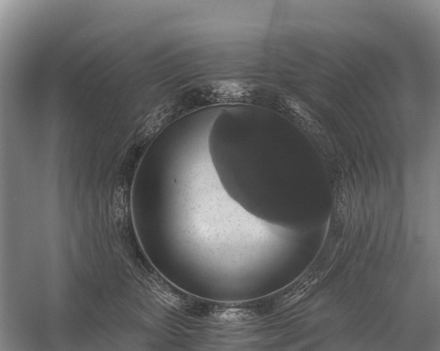 X0000058780467200510071613