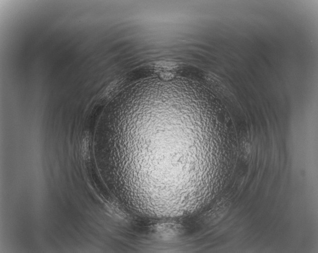 X0000058780468200510071613