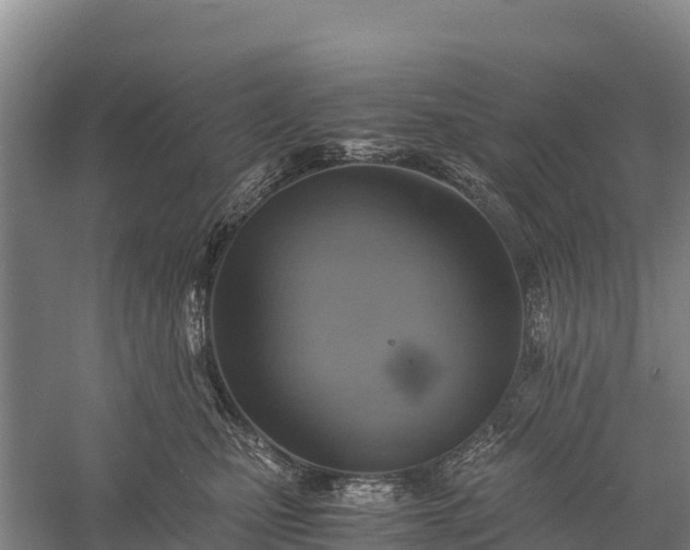 X0000058780471200510071613