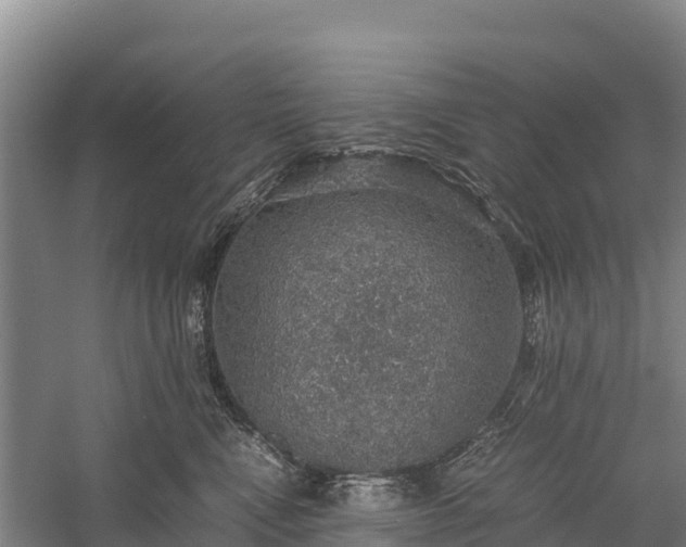 X0000058780472200510071613