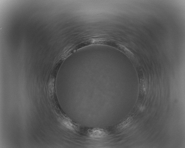 X0000058780475200510071613