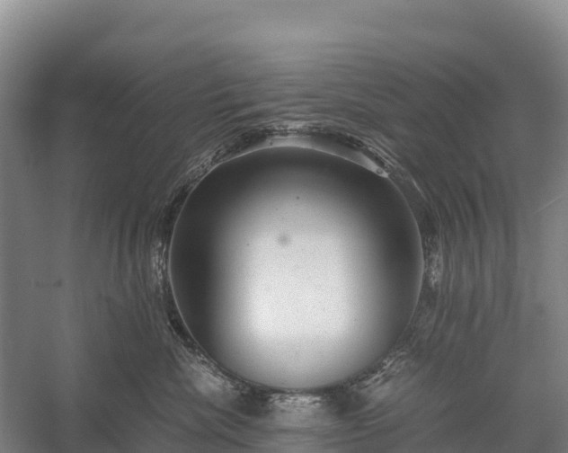 X0000058780476200510071613