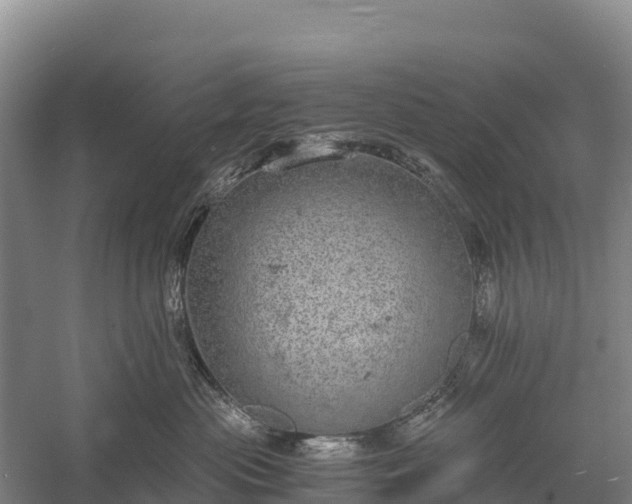 X0000058780477200510071613