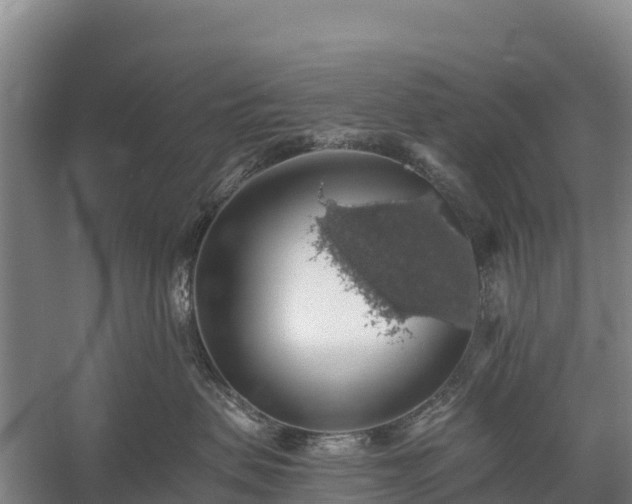 X0000058780479200510071613