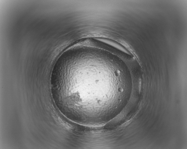 X0000058780481200510071613