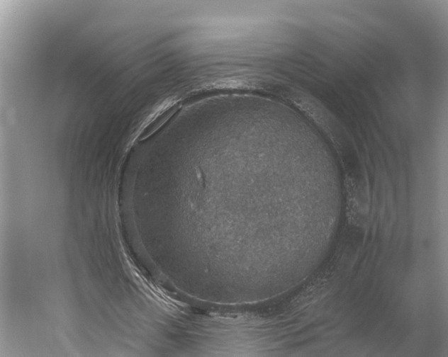 X0000058780482200510071613