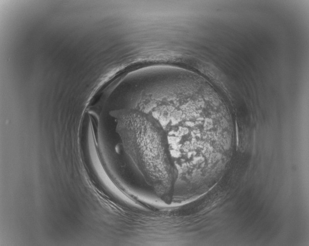 X0000058780483200510071613