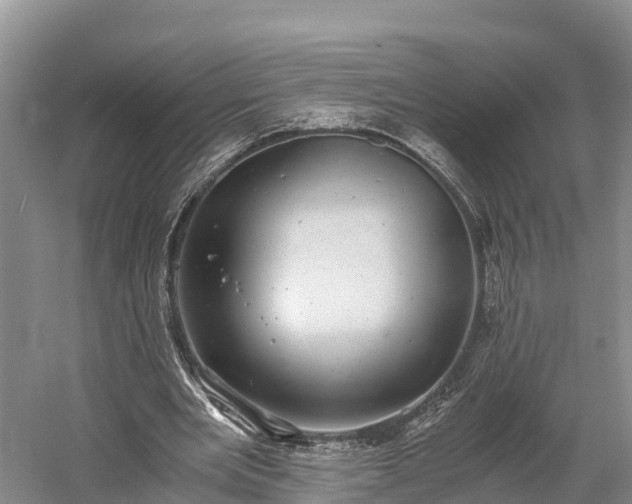 X0000058780485200510071613