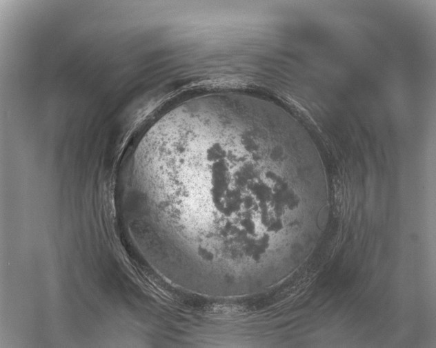 X0000058780487200510071613