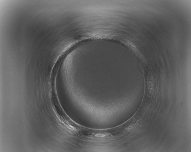 X0000058780488200510071613