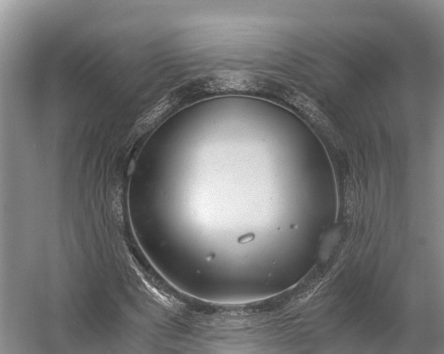 X0000058780489200510071612