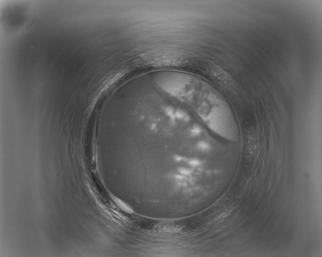 X0000058780491200510071612