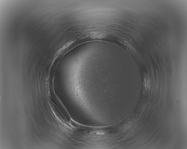 X0000058780492200510071612