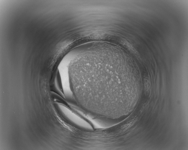 X0000058780493200510071612