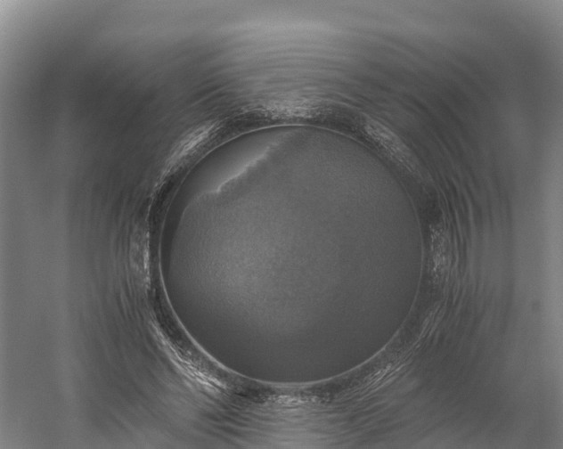 X0000058780494200510071612