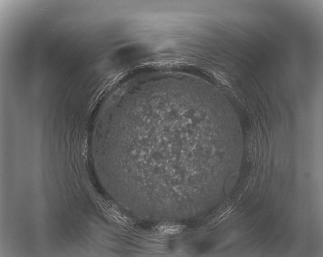 X0000058780495200510071612