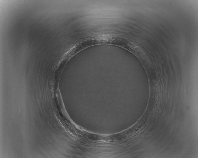 X0000058780496200510071612